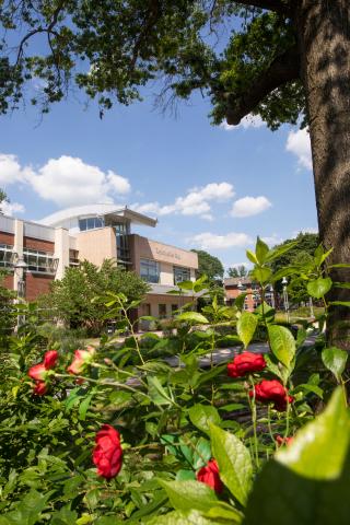 View of Lynch Adler Hall