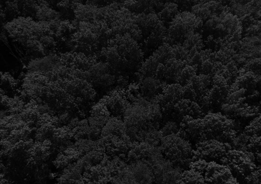 Photo Gallery Background